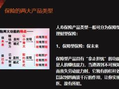 保险的两大功能两大产品类型三大分类四大账户23页.pptx