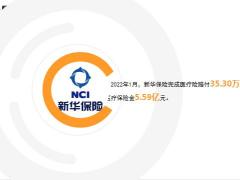 新华保险2022年1月十大医疗险赔案13页.ppt