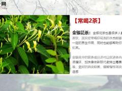 每日健康慢性咽炎谨记避开3诱因多吃2果常喝2茶10页.pptx