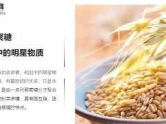 每日健康每天蒸饭放一把 不易得病11页.pptx