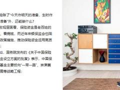 从保险资金运用理赔看保险的社会价值18页.pptx