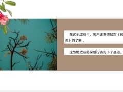 保险从业者学习民法典的两个方法19页.pptx