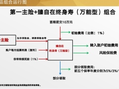 百年人寿再谈百臻组合的产品价值17页.pptx