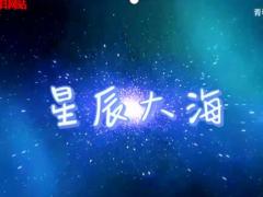 视频晨操星辰大海手语舞.rar