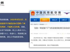 机上132人东航一架波音737飞机坠毁保险业启动一级响应22页.ppt