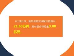 新华保险2022年2月十大医疗险赔案13页.ppt