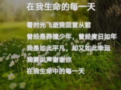 保险主管培训深度觉醒成功蜕变讲师手册含备注276页.pptx