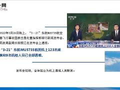 默哀东航MU5735航班机上132人全部遇难空难谁来赔该怎么赔17页.ppt