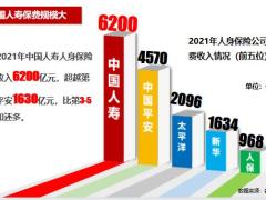 国寿国寿历史规模品牌经营服务前景48页.pptx