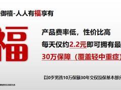 太平福禄御禧产品亮点及销售流程30页.pptx