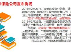 3家保险公司宣布倒闭10大监管机制保护你的保险24页.pptx