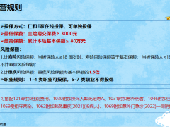 招商仁和小叮当宝贝运营规则一张纸内容健康的家19页.pptx