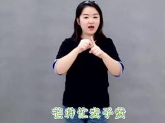 视频晨操这就是二十四节气手语版.zip