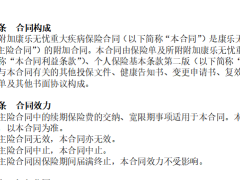 新华人寿附加康乐无忧重大疾病保险条款.doc