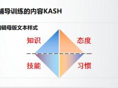 辅导训练原理PESOS案例示范演练反馈35页.pptx