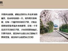 每日鸡汤想一千次不如去做一次.zip