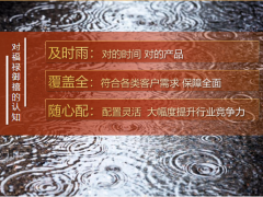 太平福禄御禧产品宣传四用案例销售逻辑32页.pptx