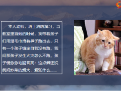 每日快乐早会22年4月11日使用12页.pptx