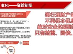 理财产说会爱心人寿映山红增额终身寿简版23页.pptx