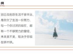 每日鸡汤现在不去勇敢地努力也许就再也没有机会了.zip