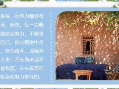 每日鸡汤不去做永远不会有收获未来是靠把握机会和努力奋斗的.zip