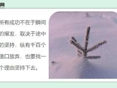 每日鸡汤含泪播种的人一定能含笑收获.zip