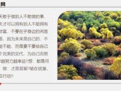 每日鸡汤你的命运与别人无关要靠自己主宰.zip
