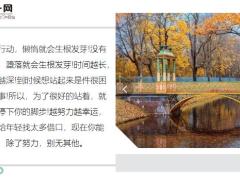 每日鸡汤你的付出决定你的未来你的汗水记得你的成就.zip