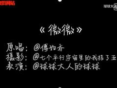 视频晨操手语版微微.rar
