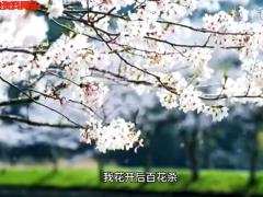 激励视频董卿只有经历过地狱般的磨练才能炼出创造天堂的力量.rar