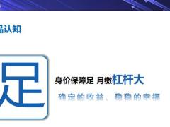 太平岁悦添富高端客户服务资源整合突破产品认知销售逻辑个人感悟28页.pptx