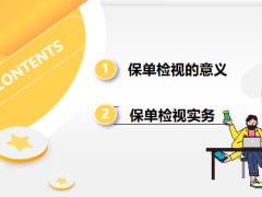 保险新人培训保单检视的意义实务33页.pptx