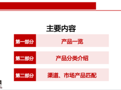 团险产品一览分类介绍渠道市场匹配27页.pptx