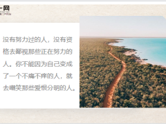 每日鸡汤生活别问结果只看拼不拼.zip