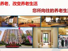 百年悦享年年典藏版有效管理财富解决养老问题31页.pptx