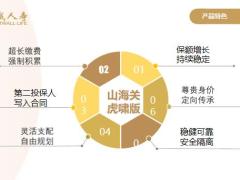 长城人寿山海关虎啸版两全保险开发背景产品概述特点示例演示其他优势33页.pptx