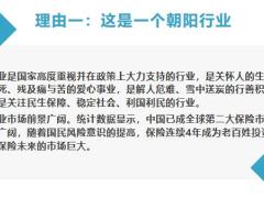 2022保险的价值加入保险行业的12个理由24页.pptx
