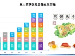 国寿尊享福惠享福爱意康悦产品宣传27页.pptx