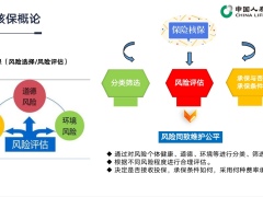 国寿核保原理掌握政策熟用工具规则解读29页.pptx