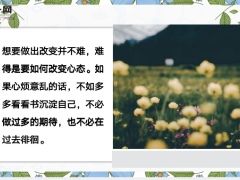 每日鸡汤你只有努力才配得上更好的生活.zip