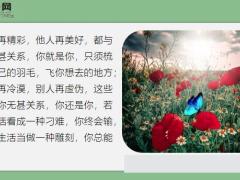 每日鸡汤气度决定成就感恩才能长久.zip
