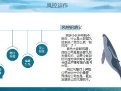 保险公司的风控系统运作发展如何应对18页.pptx