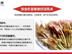 香椿炒鸡蛋引发大抢救11页.ppt