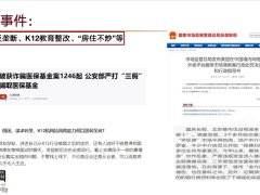 在不确定中寻找确定依靠高客聊投资引入保险28页.pptx