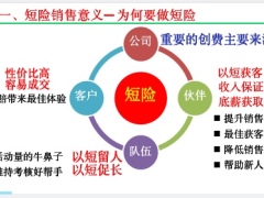 国寿短险销售的意义未成年人成年人产品介绍28页.pptx