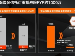 保险金信托市场空间认知格局现状调研推动规划30页.pptx