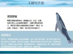 微信公众号的认识版面设计内容撰写23页.pptx