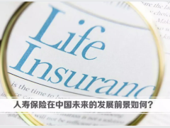 富德生命传世金尊增额终身寿险产品特性优势41页.pptx