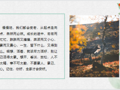 每日正能量每段路都是一种领悟10页.pptx