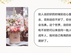 每日鸡汤励志人生愿你一生温暖纯良不舍爱与自由.zip